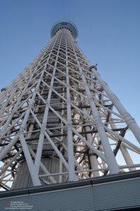 20180110134904_NIKON D7100.jpg